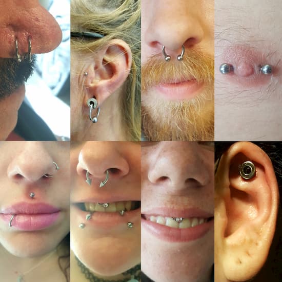A collage of different piercings made by me