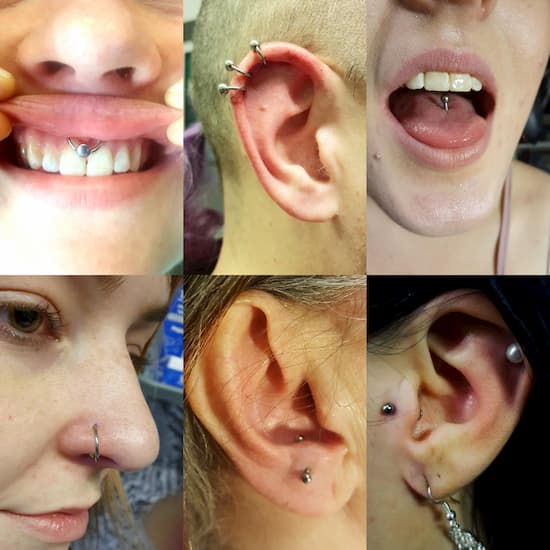 Piercingar som har utförts på Liz Tattoo & Piercing