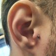 Freshly done tragus piercing