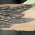 A big angel wing on the forearm