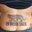 En svensk tiger