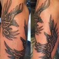 Hugin and Munin on the forearm