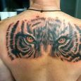 Stora tigerögon på ryggen