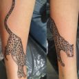 A leopard on the forearm