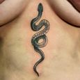 A snake between the breasts