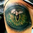 A green animal eye