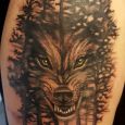 A wolf that becomes one with the forest