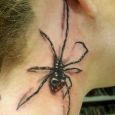A spider tattoo on the neck