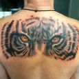 Orange tiger eyes on upper back