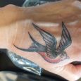 A swallow tattoo in old school style on the hand