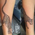 A leopard on the forearm