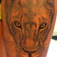 A lioness on the thigh