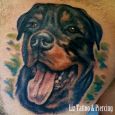A tattoo portrait of a Rottweiler