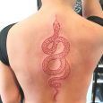 A red line art snake tattoo on the back