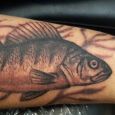 A perch on the forearm
