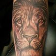 A lion and a rose on the forearm