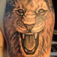 A large grayscale lion on the arm