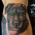 A beloved doggy