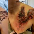 Covering up an old with a phoenix