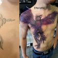 An old tattoo covered by a phoenix bird