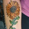 A sunflower tattooed on the forearm