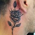 A grey rose behind the ear