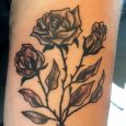 Roses in greyscale on upper arm