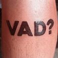 A pun on the calf ("vad" means calf in swedish). 