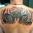 Eyes of a tiger on the back