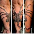 A facehugger on the forearm