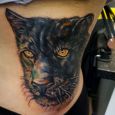 A panther on the ribs/waist