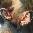 Blackwork tattoos on the ears